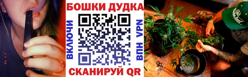 наркотики  Острогожск  Бошки Шишки SATIVA & INDICA 